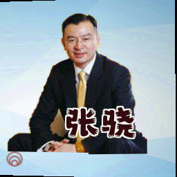 张骁